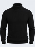 Maglione a collo alto